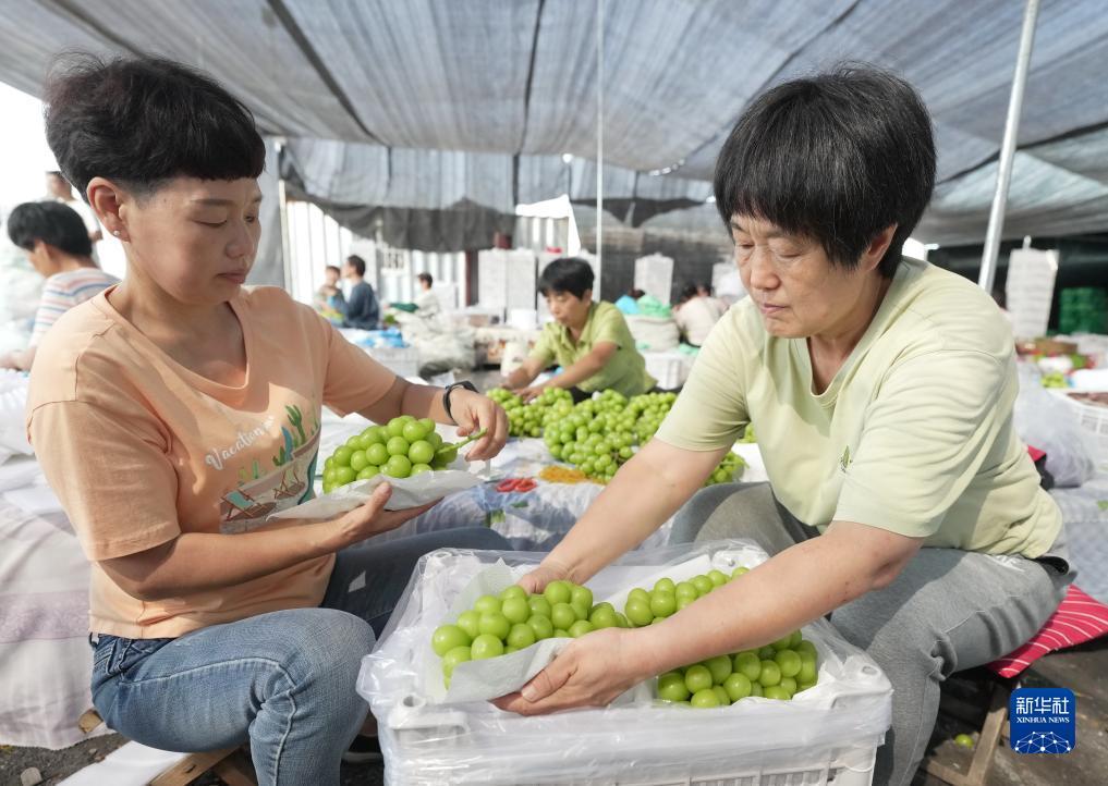 澳门在线游戏网站
